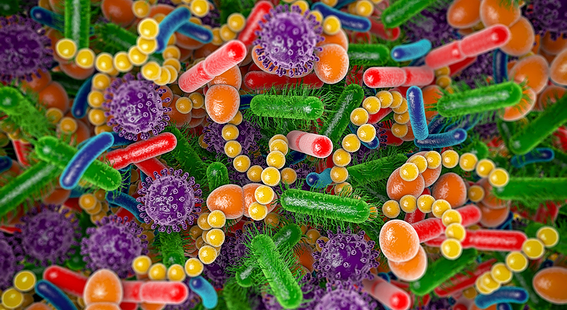Žarnyno ir smegenų ašies supratimas ir jos terapinis poveikis neuropsichiniams ir kt. sutrikimams | 3 ciklo dalis