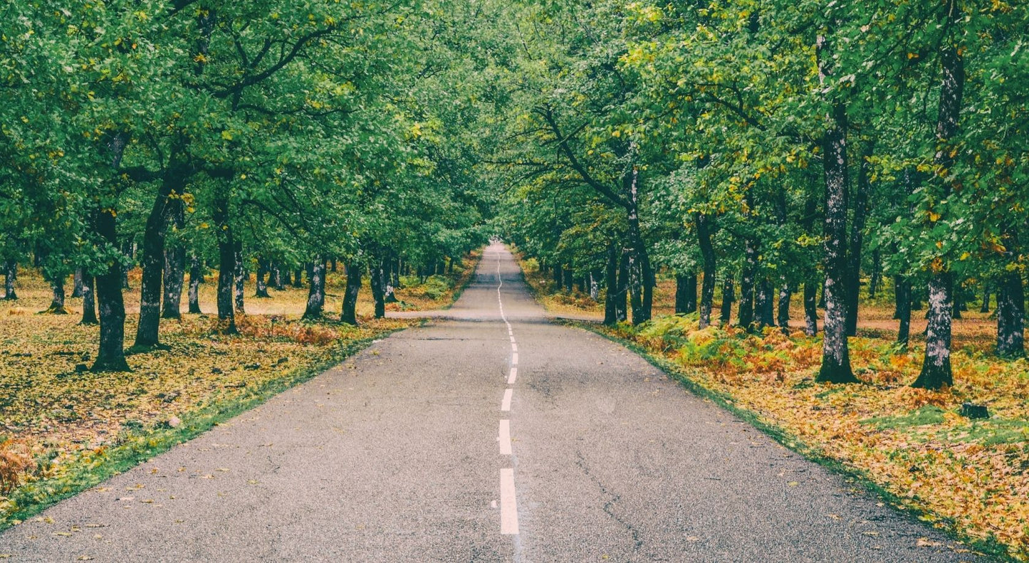 VIDURIO AMŽIAUS KRIZĖ: šiuolaikinės psichologijos ir psichoterapijos perspektyvos