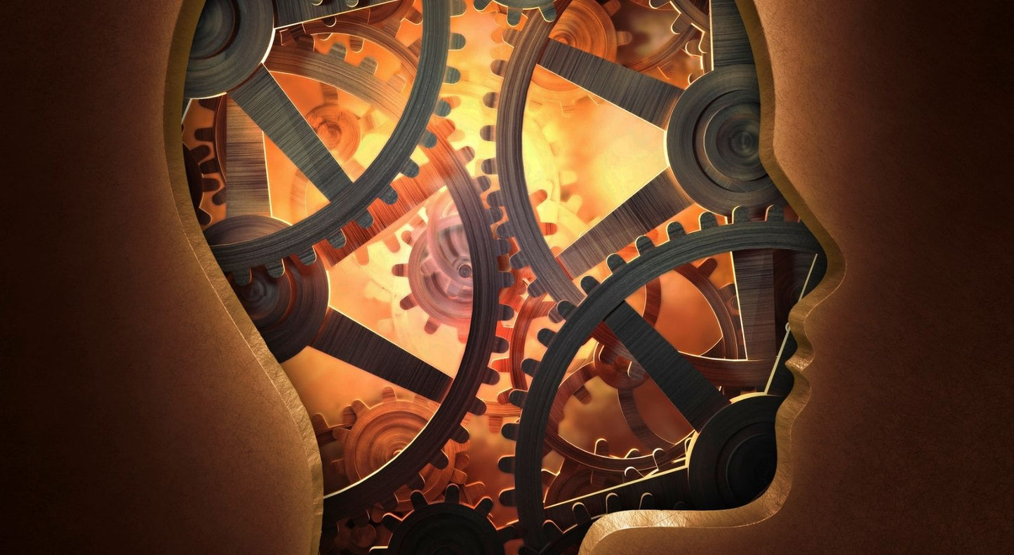 Metakognityvinė terapija (MKT) ir jos galimybės | Mokymai vyks 2026 m. gegužės 14 d.