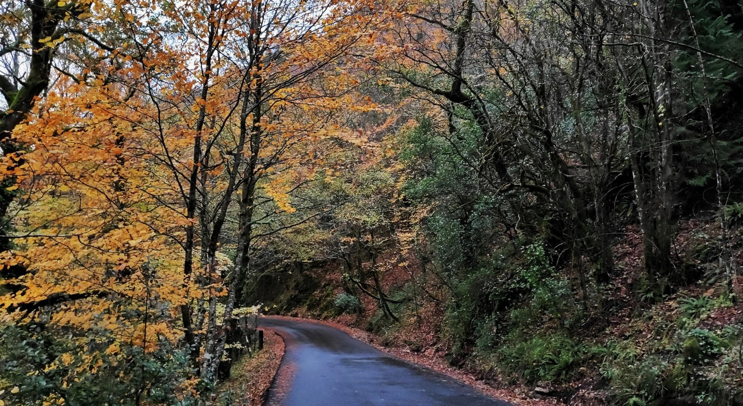 VIDURIO AMŽIAUS KRIZĖ: šiuolaikinės psichologijos ir psichoterapijos perspektyvos
