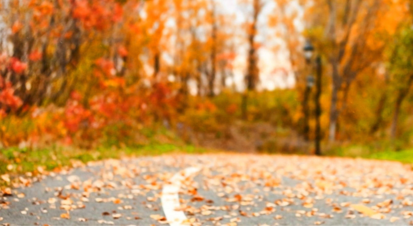 VIDURIO AMŽIAUS KRIZĖ: šiuolaikinės psichologijos ir psichoterapijos perspektyvos