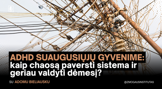 JAU GREITAI > ADHD SUAUGUSIŲJŲ GYVENIME: kaip chaosą paversti sistema ir geriau valdyti dėmesį? | Mokymai vyks 2026 m. spalio 28 d.